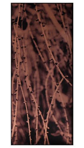 Artwork by Letizia Romanini - Larix decidua - Reuter Bausch Art Gallery - Luxembourg