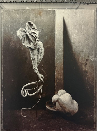 Artwork by  Michel Medinger - Der Blick der stregen Mutter - Reuter Bausch Art Gallery - Luxembourg