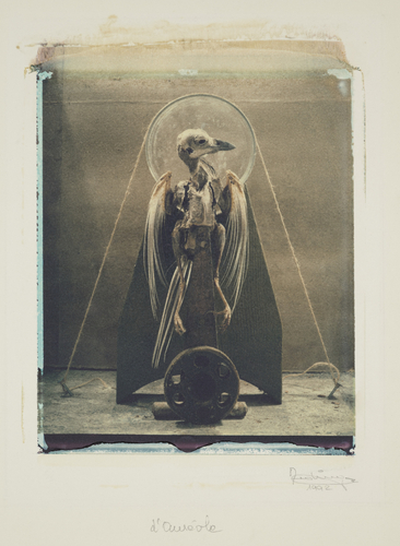 Artwork by  Michel Medinger - L'aur�ole - Reuter Bausch Art Gallery - Luxembourg