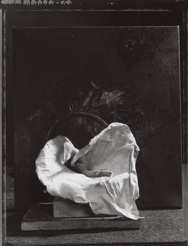 Artwork by  Michel Medinger - Callilie s�ch� avec squelette de serpent - Reuter Bausch Art Gallery - Luxembourg