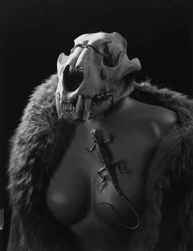 Artwork by  Michel Medinger - Sans titre - Reuter Bausch Art Gallery - Luxembourg