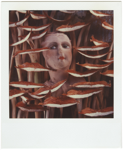 Artwork by  Michel Medinger - sans titre - Reuter Bausch Art Gallery - Luxembourg