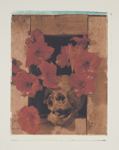 Artwork by  Michel Medinger - sans titre - Reuter Bausch Art Gallery - Luxembourg