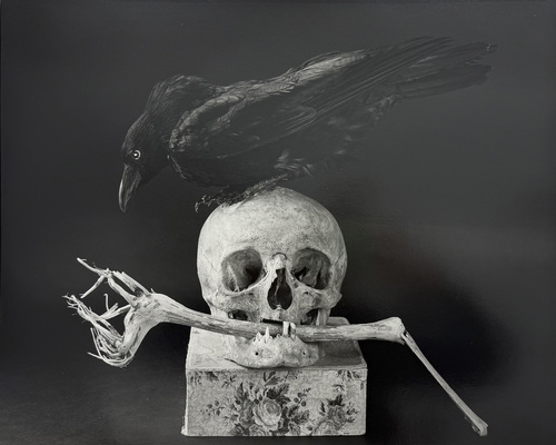 Artwork by  Michel Medinger - sans titre - Reuter Bausch Art Gallery - Luxembourg