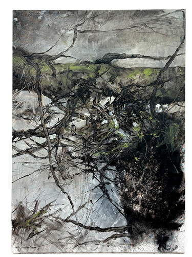 Artwork by Arny Schmit - Structures fragiles - Reuter Bausch Art Gallery - Luxembourg