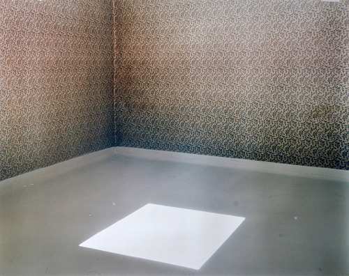Artwork by Baptiste Rabichon - Mother's Rooms 10 - Reuter Bausch Art Gallery - Luxembourg