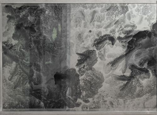 Artwork by Letizia Romanini - Grotte di Frasassi, Genga, IT A - Reuter Bausch Art Gallery - Luxembourg