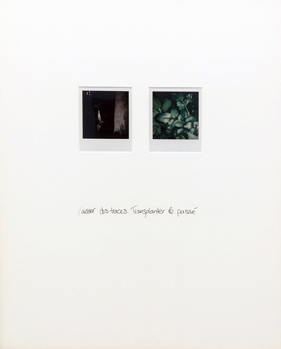 Artwork by Marie Capesius - Laisser des traces. Transplanter le passé - Reuter Bausch Art Gallery - Luxembourg