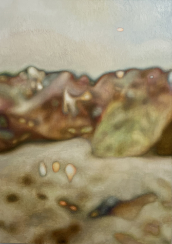 Artwork by Martin Palmyre - sans titre_paysage 1 - Reuter Bausch Art Gallery - Luxembourg