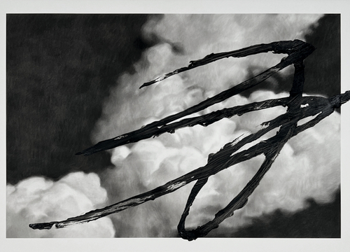 Artwork by Valentin Van der Meulen - Sans-titre Nuage 6 - Reuter Bausch Art Gallery - Luxembourg