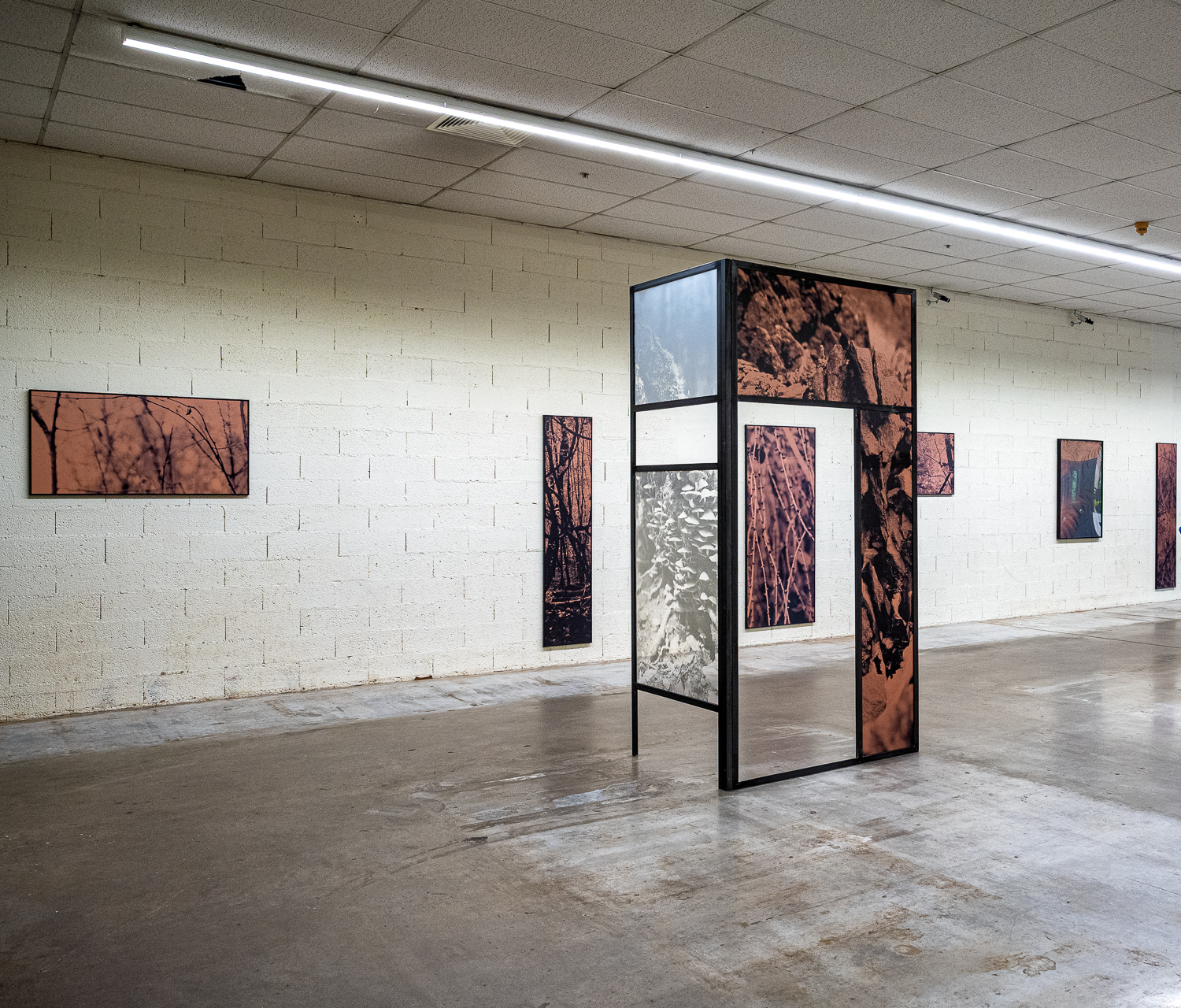 LETIZIA ROMANINI | RUST REGROWTH - Array - Reuter Bausch Art Gallery - Luxembourg