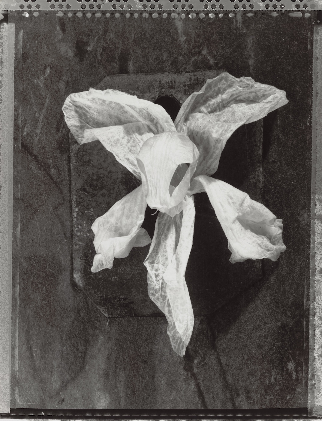 Exhibition Michel Medinger at Reuter Bausch Art Gallery